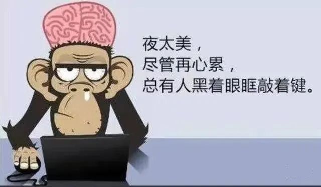 程序員假期怎么過，快來看看你屬于哪一種？